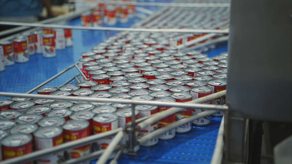 Cans moving along a conveyor belt on a packaging line